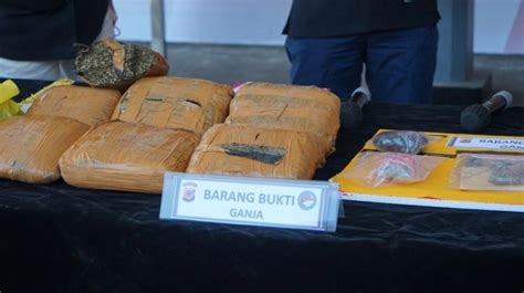 Pengedar Ini Sembunyikan Kg Ganja Di Bawah Ikan Asin Siap Kirim Ke