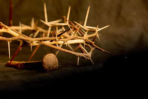 Crown Of Thorns And Nails Symbols Of The Christian Crucifixion In