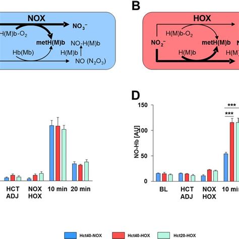 Plasma Levels Of Nitritre Left And Nitrate Right Both Nitrite And Download Scientific