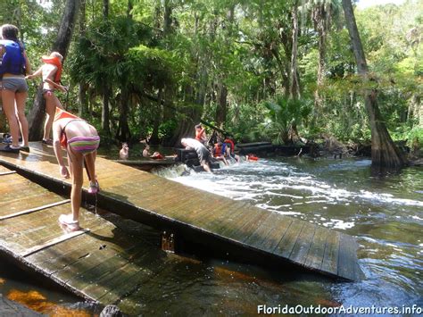 Kayaking On Loxahatchee River Under The Cypress Tree Canopy – Florida ...