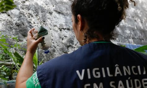 A Gazeta Dengue Es Tem Explos O De Casos E Incid Ncia Maior Do