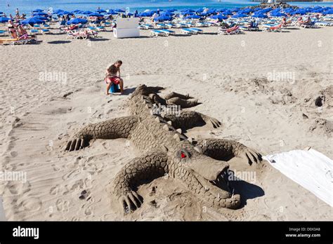 Artist Making A Sand Sculpture Of A Giant Crocodile Or Alligator On The