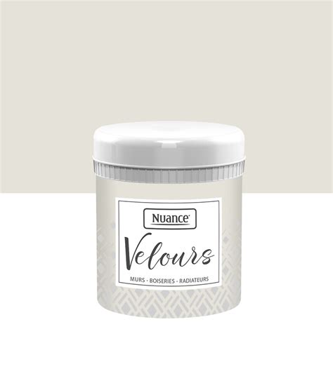 Testeur Peinture Velours Lin Delicat Multi Support 75ml Bricorama