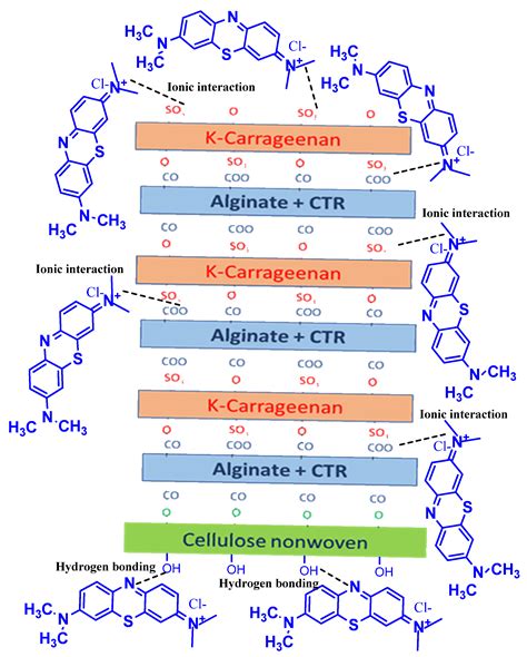 Polymers Free Full Text Recent Advances In Functional Polymer