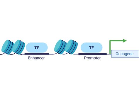 Functional Interplay Between Cancer Genomes And Epigenomes Genome