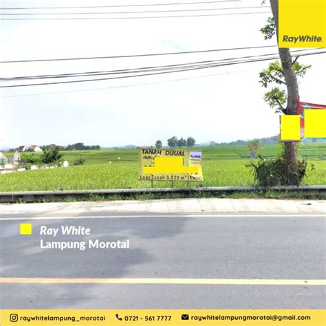 Dijual Tanah Di Jl Imam Bonjol Pajaresuk Pringsewu Lampung Kode Ta