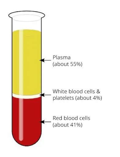 Tattoo Leaking Plasma Everything You Should Know Tattify