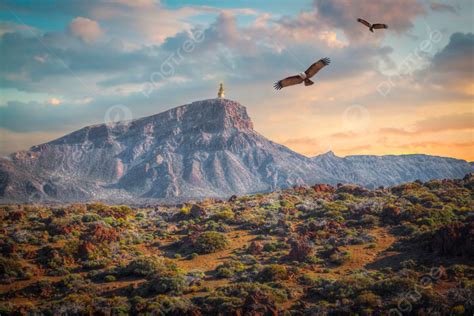 Background Elang Terbang Di Atas Pegunungan Dan Jalan Himalaya Foto Dan