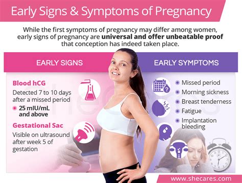 Early Pregnancy Symptoms Before Missed Period