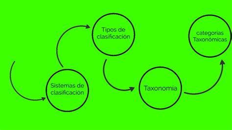 Sistemas De Clasificación By Herbert Tomás On Prezi