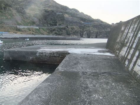 南伊豆「伊浜港」の堤防への行き方と釣れる魚