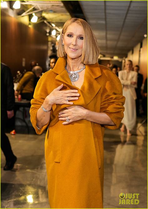 Celine Dion Makes Surprise Appearance At Grammys 2024 Son René Charles