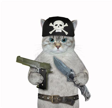 Chat Cendré à Bandana Tient Le Couteau Et L arme Image stock Image du