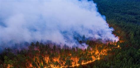 Impactante Así Capto La Nasa Cómo Llegó El Humo De Los Incendios