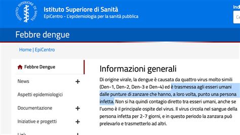 La Dengue Si Trasmette Alle Persone Da Una Zanzara Che Ha Punto Una