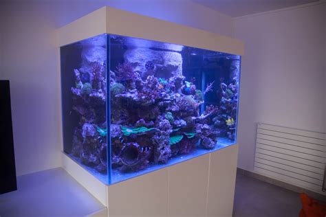 Aquarium R Cifal Litres Eas Paysages Aquatiques