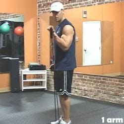 Biceps Curls - Resistance Bands Exercise Guide with Photos