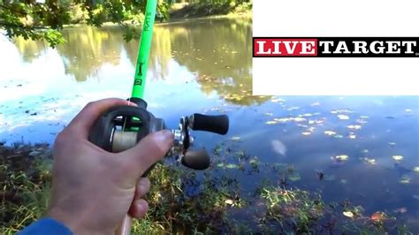 Bass Fishing from the Bank with a Livetarget Swimbait – Bass Manager | The Best Bass Fishing ...