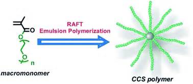 A Highly Efficient Macromonomer Approach To Core Cross Linked Star Ccs