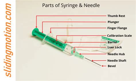 Parts Of Syringe And Needle Functions Uses 59 Off