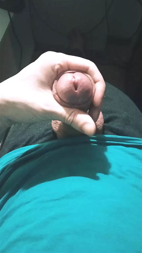 Guy In Blue T Shirt Jerking Off His Cock Sitting In Chair Gay Twink Twink Porn XHamster