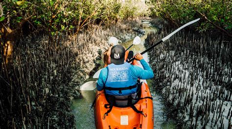 Mangrove National Park | Experience Abu Dhabi | Visit Abu Dhabi