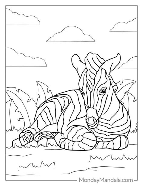 20 Zebra Coloring Pages Free Pdf Printables