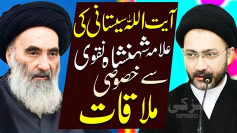 Ayatullah Sistani Ki Shahenshah Naqvi Se Special Mulaqat Allama