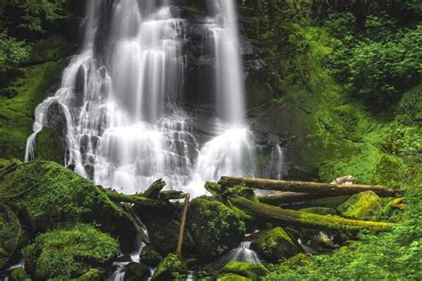 9 Amazing Waterfalls Near Eugene Oregon Oregon Is For Adventure