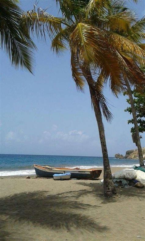 Two Boats On The Beach With Palm Trees