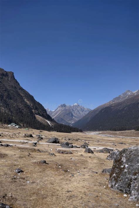 Yumthang Valley, a Picturesque Valley in Sikkim, Known for Hot Springs, Colorful Flowers, and ...