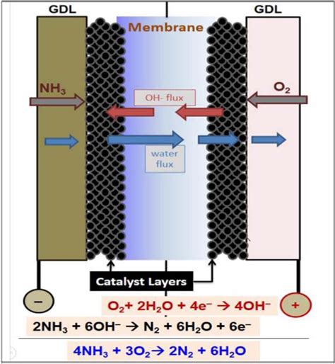 Figure 1 From The Direct Ammonia Fuel Cell And A Common Pattern Of