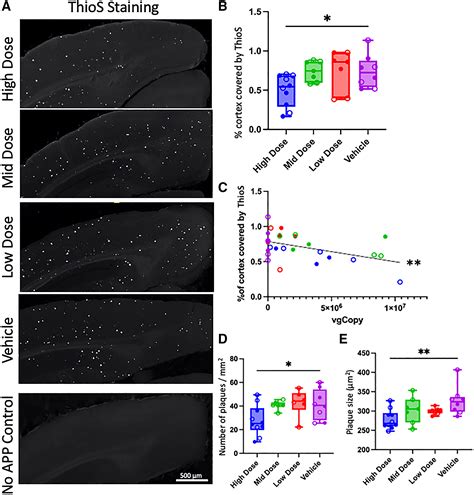 APOE2 Gene Therapy Reduces Amyloid Deposition And Improves Markers Of