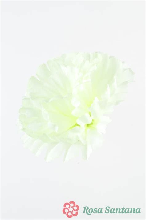 Искусственные цветы оптом. Доставка. / Rosa Santana