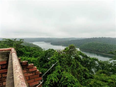 Saiba Mais Sobre O Parque Estadual Do Rio Doce