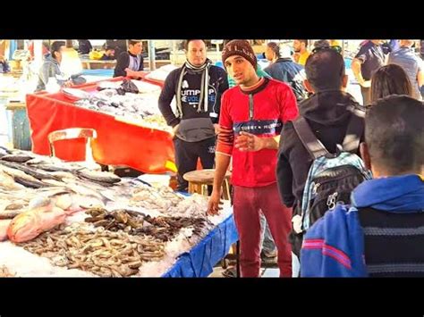 Hurghada Egypt Fish Market Hurghada City Walking Tour