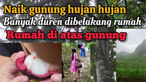 Hujan Deras Nekat Ke Gunung Pule Trenggalek Demi DURIAN YouTube