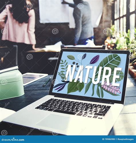 Nature Flower Stock Photo Image Of Internet Business 70986988