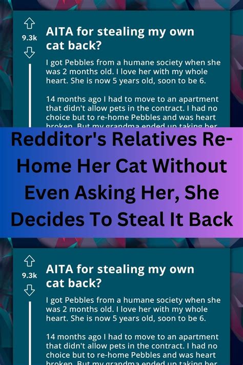 Redditor S Relatives Re Home Her Cat Without Even Asking Her She Decides To Steal It Back Artofit