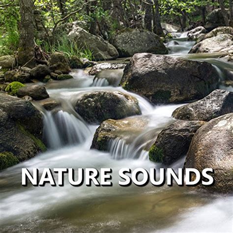 Amazon Music Sleep Sounds Of Nature Nature Sounds Amazon Co Jp