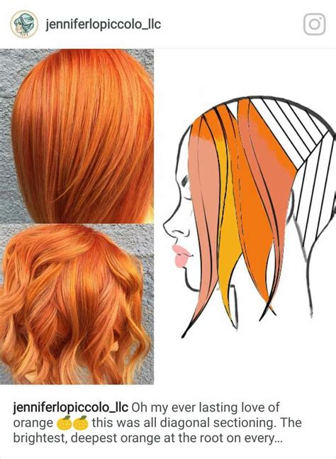 Pinwheel Hair Color Placement Diagrams