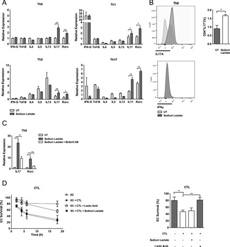 Lactate Modulates Effector T Cell Functions A Relative Mrna