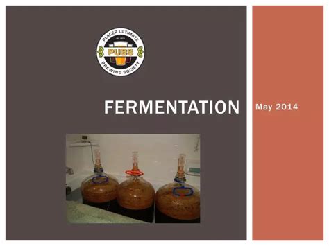 Ppt Fermentation Powerpoint Presentation Free Download Id2036046