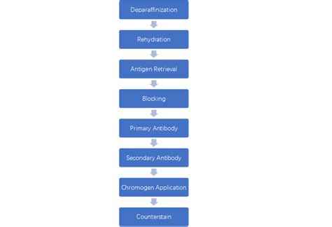 Immunohistochemistry Ihc Protocol By Alpha Lifetech Sep 2023