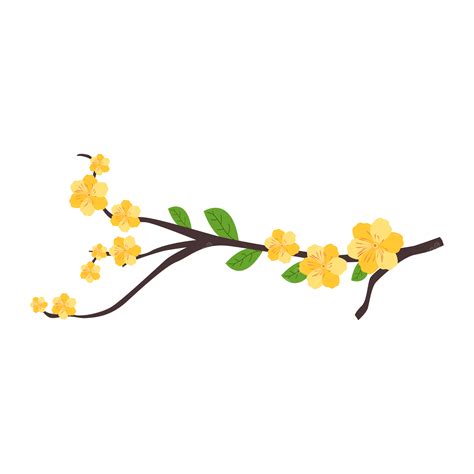 Illustration Vectorielle De Fleurs De P Tales Dabricot Jaune Png