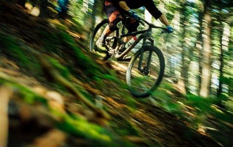 8 Mountain Biking Tips For Beginners and Getting Started