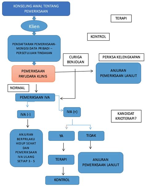 Alur Pemeriksaan Iva