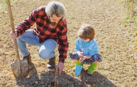 Père Plantant Un Arbre Avec Son Fils L aidant Papa Et Enfant Jardinant