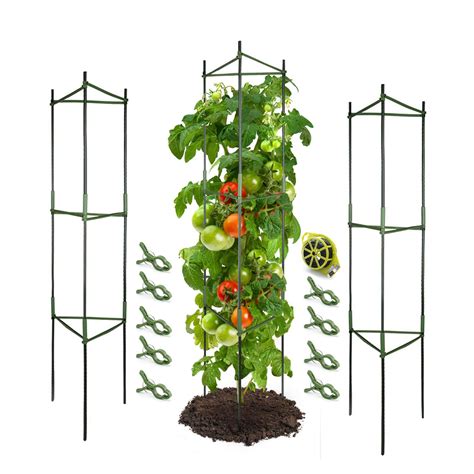 Cherry Tomato Plant Trellis