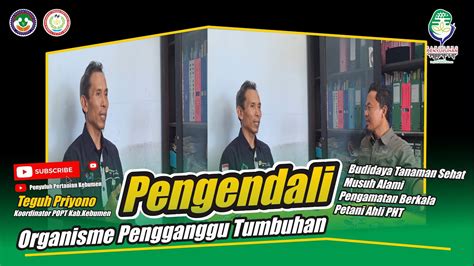 Pengendali Organisme Pengganggu Tumbuhan YouTube